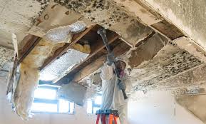 Best Residential Mold Inspection & Testing  in Southmayd, TX